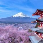 From Tokyo : Mount Fuji Tour With English Guide CUSTOMIZABLE - Detailed Breakdown of the Itinerary