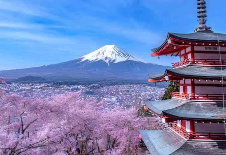 From Tokyo : Mount Fuji Tour With English Guide CUSTOMIZABLE - Detailed Breakdown of the Itinerary