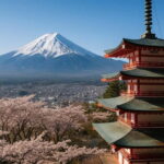 From Tokyo: Mount Fuji's Highlights Private Day Tour - Why This Tour Is Worth Considering