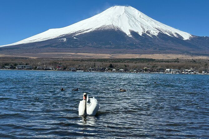 From Tokyo: Mt. Fuji 6 Attractions: Lake Kawaguchi, Oshino Hakkai - The First Stop: Lake Yamanaka