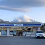 From Tokyo Mt Fuji Hakone Private Customizable Day By Guide - What Travelers Say: Authentic Insights