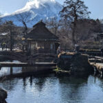 From Tokyo: Mt. Fuji & Hakone Tour w/ Return by Bullet Train - Who Would Love This Tour?