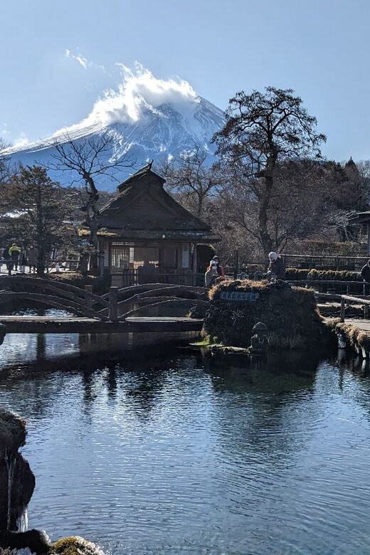 From Tokyo: Mt. Fuji & Hakone Tour w/ Return by Bullet Train - Who Would Love This Tour?