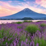 From Tokyo: Mt.Fuji & Kawaguchi & Oshino Hakkai Bus Tour - The Value of This Tour