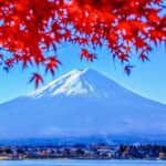 From Tokyo: Mt. Fuji One-Day Private and Customizable Tour - The Practicalities and What Sets This Tour Apart