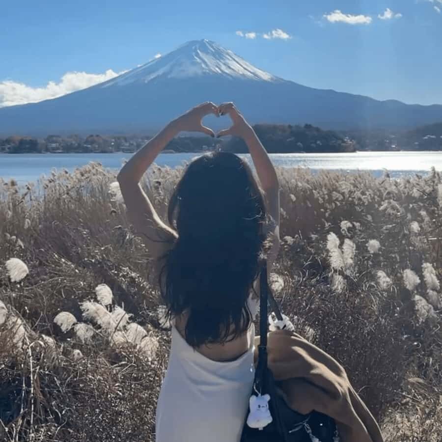 From Tokyo: Must-Visit Mount Fuji Highlight Full-Day Tour - The Bottom Line  