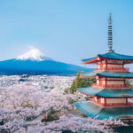 From Tokyo: Must-Visit Mount Fuji Highlight Full-Day Tour - What to Expect on the Day