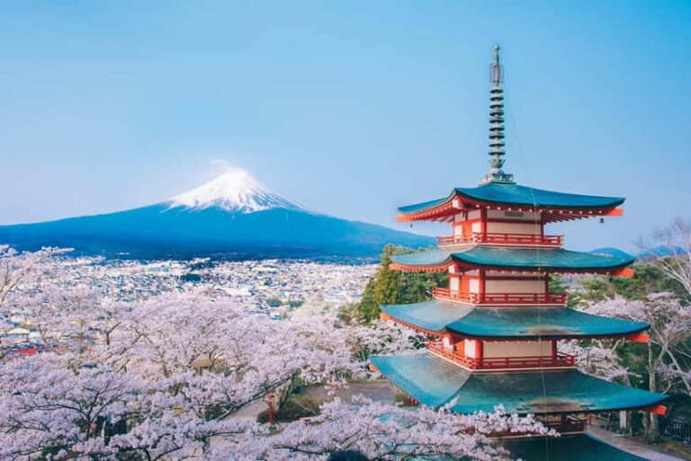 From Tokyo: Must-Visit Mount Fuji Highlight Full-Day Tour - What to Expect on the Day
