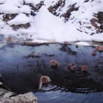 From Tokyo: Nagano Private Tour with English-Speaking Driver - Whats Included and the Overall Experience