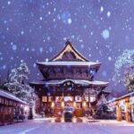 From Tokyo: Nagano Private Tour with English-Speaking Driver - Who Will Love This Tour?