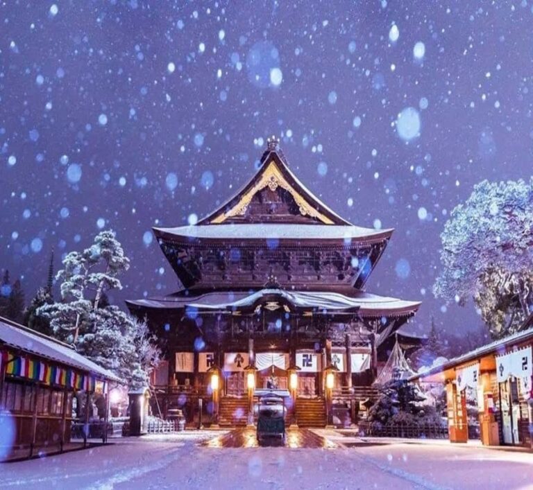 From Tokyo: Nagano Private Tour with English-Speaking Driver - Who Will Love This Tour?