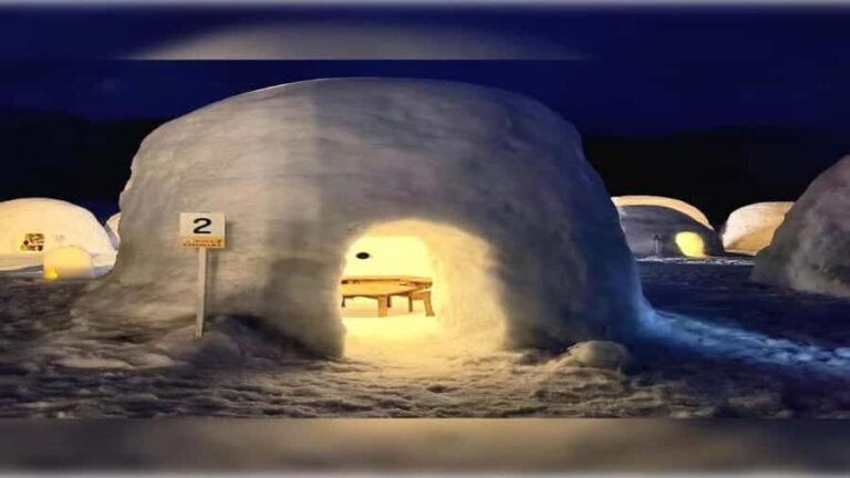 From Tokyo: Nagano Private Tour with Igloo Village & Monkeys - Detailed Breakdown of the Itinerary