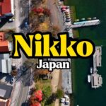 From Tokyo: Nikko Full Day Customized Private Tour - Final Thoughts: Who This Tour Is Perfect For