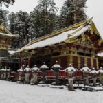 From Tokyo: Nikko Full Day Private Customizable Private Tour - Transport and Flexibility