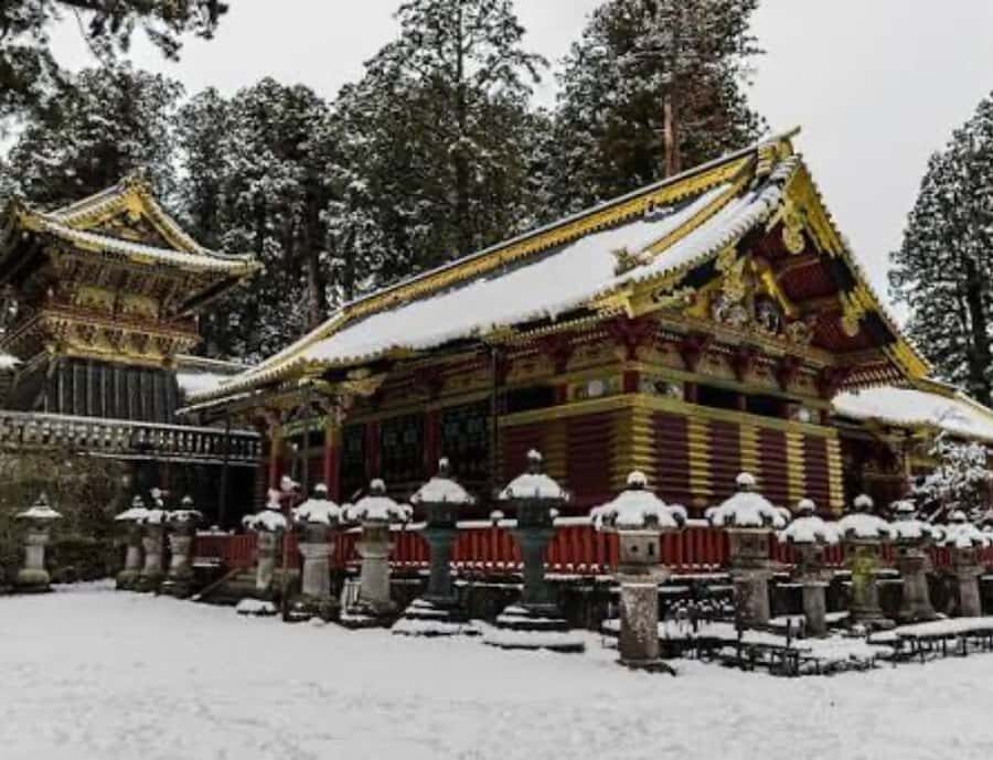 From Tokyo: Nikko Full Day Private Customizable Private Tour - Transport and Flexibility