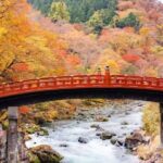 From Tokyo: Nikko Full Day Private Tour with English Guide - Planning and Logistics