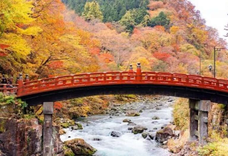 From Tokyo: Nikko Full Day Private Tour with English Guide - Planning and Logistics