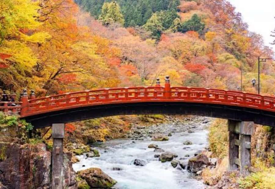 From Tokyo: Nikko Full Day Private Tour with English Guide - Planning and Logistics