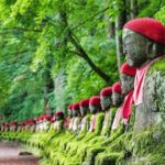 From Tokyo, Nikko Lake Chuzenji Kegan Falls Private Day Trip - Who Will Love This Tour?