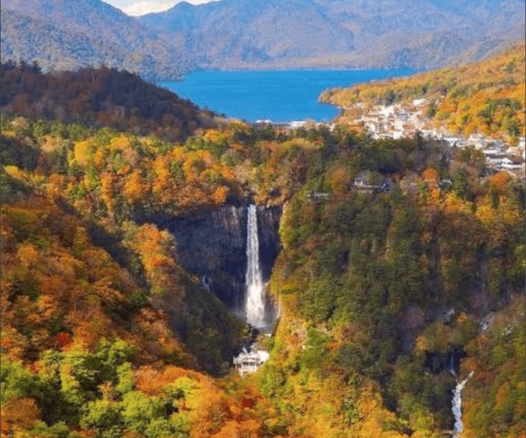 From Tokyo, Nikko Lake Chuzenji Kegan Falls Private Day Trip - Who Will Love This Tour?