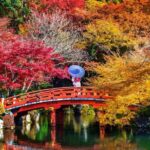 From Tokyo: Nikko One-Day Private Tour - An In-Depth Review of the Nikko Private Tour Experience