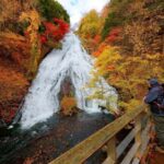 From Tokyo: Nikko One-Day Private Tour - Pricing and Value