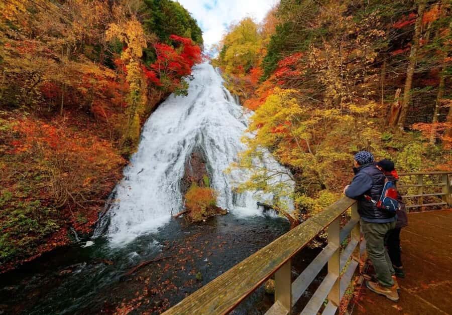 From Tokyo: Nikko One-Day Private Tour - Pricing and Value
