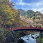 From Tokyo: Nikko private car tour with optional guide - What We Appreciate and What to Keep in Mind