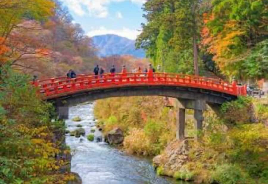 From Tokyo: Nikko Private Customized Tour with English Guide - Why Choose the Nikko Private Customized Tour?