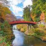 From Tokyo: Nikko Private Customized Tour with English Guide - Who This Tour Is Perfect For