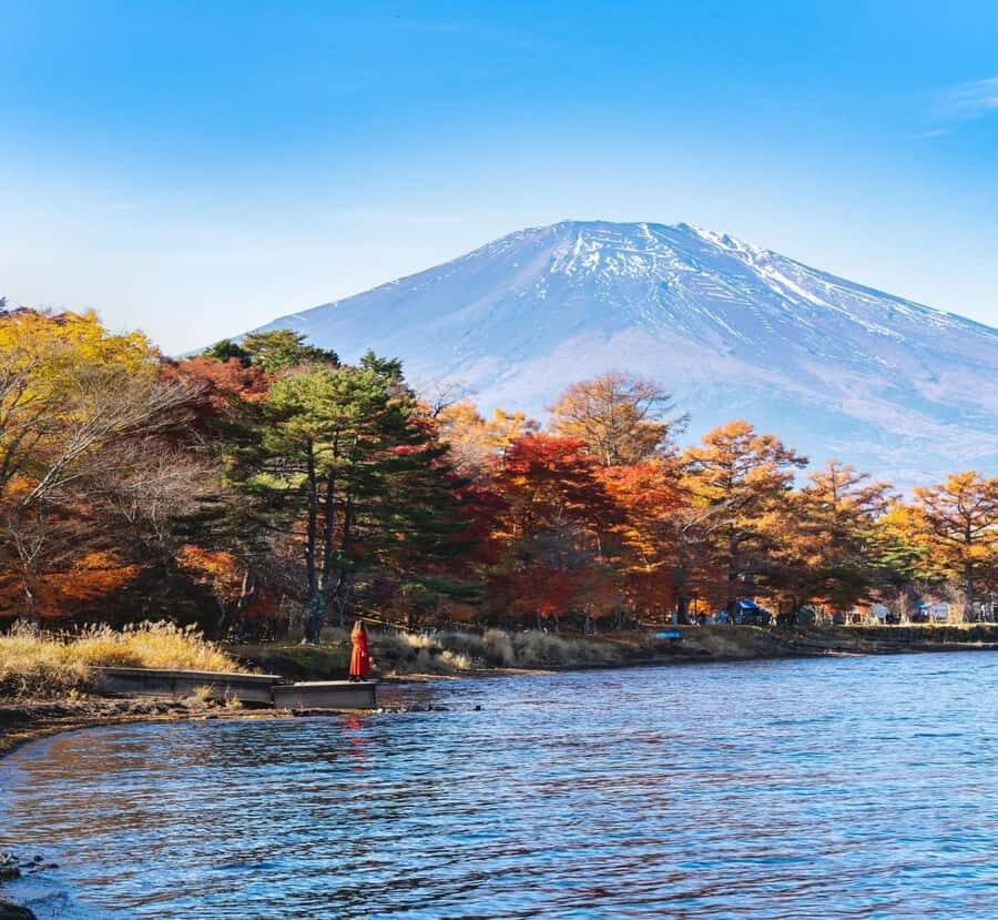 From Tokyo: Nikko Private Tour with Kegon Falls - Overview of the Tour Experience