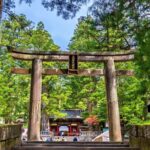 From Tokyo: Nikko Private Tour with Toshogu Shrine & Falls - Final Thoughts: Is This Tour for You?
