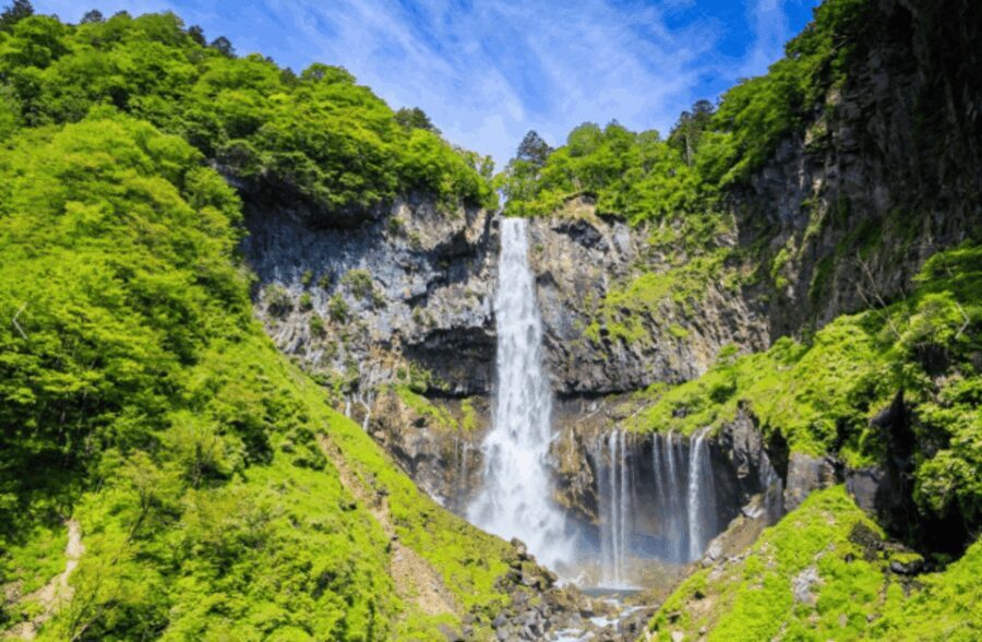 From Tokyo: Nikko Toshogu Day tour with Traditional Lunch - What Does the Tour Get Right?