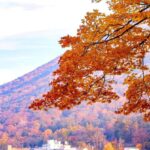 From Tokyo: Nikko World Heritage Customizable Private Tour - A Detailed Look at the Nikko Private Tour