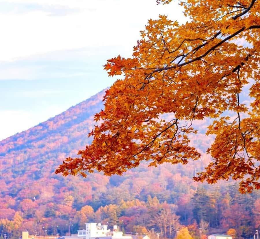 From Tokyo: Nikko World Heritage Customizable Private Tour - A Detailed Look at the Nikko Private Tour