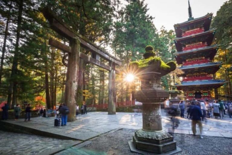 From Tokyo: Nikko World Heritage Private Tour With Guide - A Deep Dive into the Nikko Private Tour Experience