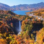 From Tokyo: Nikko World Heritage Private Tour with Guide - What This Tour Means for You