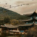 From Tokyo: Nikko World Heritage Site Private Day Trip - The Itinerary Breakdown