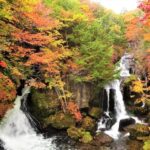 From Tokyo: Nikko World Heritage Site Private Full-Day Trip - Why This Tour Offers Great Value