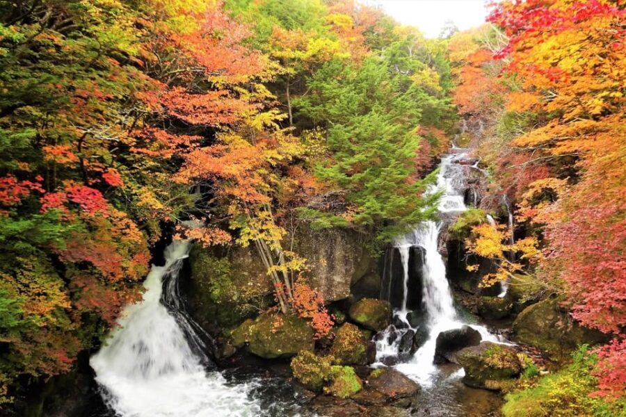 From Tokyo: Nikko World Heritage Site Private Full-Day Trip - Why This Tour Offers Great Value