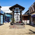 From Tokyo: Numazu Port, Mishima Skywalk, Mt. Fuji View Tour - The Thrill of Mishima Skywalk