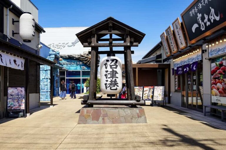 From Tokyo: Numazu Port, Mishima Skywalk, Mt. Fuji View Tour - The Thrill of Mishima Skywalk
