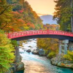 From Tokyo: Onsen, Temples and Nature Day Trip to Nikko - Authentic Experiences and Authenticity