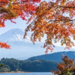 From Tokyo: Private Mt. Fuji and Hakone Tour by Car - The Full Breakdown of the Tour Experience