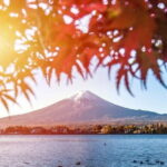 From Tokyo: Private Mt. Fuji and Hakone Tour by Car - Transportation and Comfort