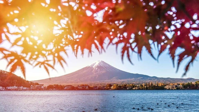 From Tokyo: Private Mt. Fuji and Hakone Tour by Car - Transportation and Comfort