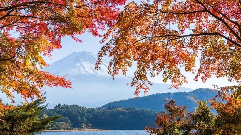 From Tokyo: Private Mt. Fuji and Hakone Tour by Car - The Full Breakdown of the Tour Experience