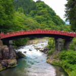From Tokyo: Private Nikko Shrines and Nature Day Tour - Practical Details and Traveler Experience