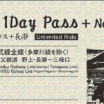 From Tokyo: Seibu Railway 1 Day Pass and Nagatoro - Who Will Love This Experience?