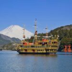 From Tokyo to Hakone: Train Tickets and Hakone Free Pass - Transportation and Timing